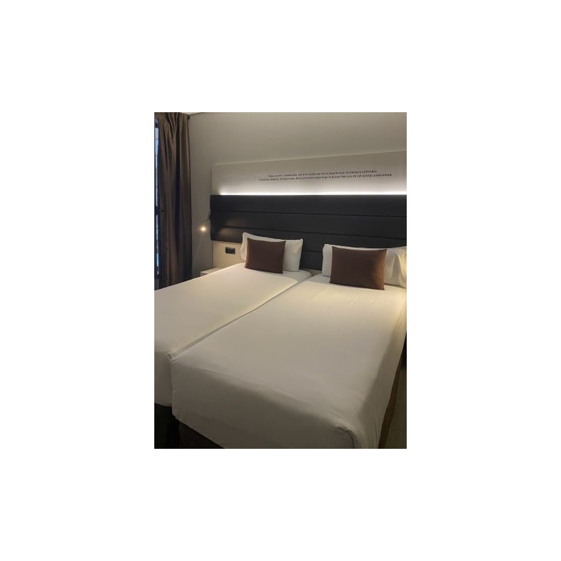 Hotel Del Comte