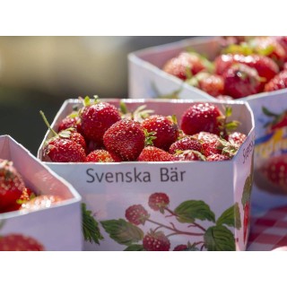 Ferienhaus in Kil ab 47€ pro Nacht