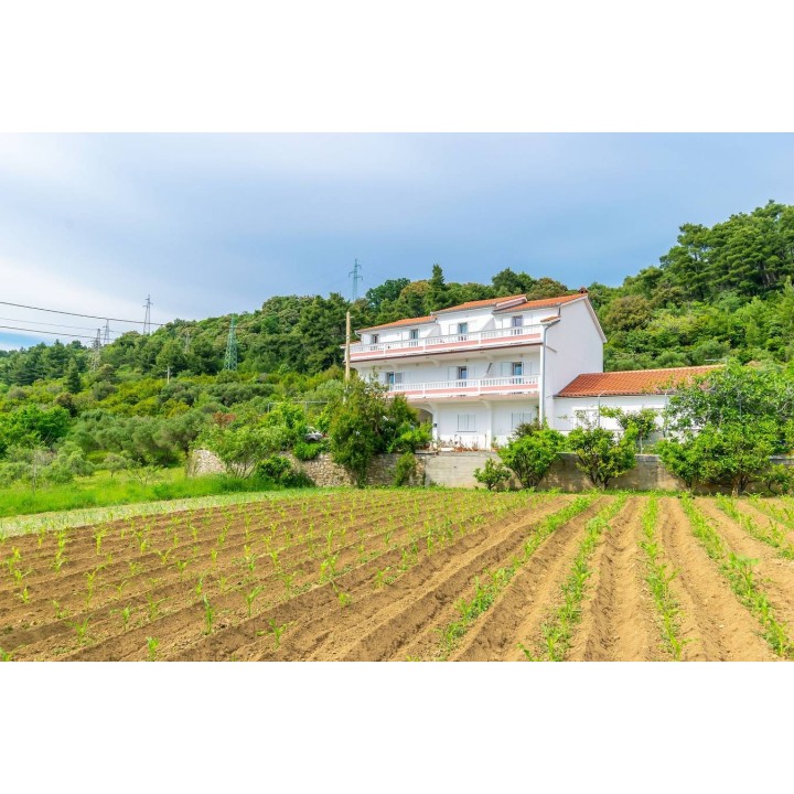 Ferienwohnung in Rab ab 58€ pro Nacht