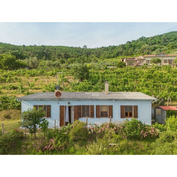 Ferienhaus in Versilia ab 58€ pro Nacht