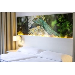 Hotel Rosales