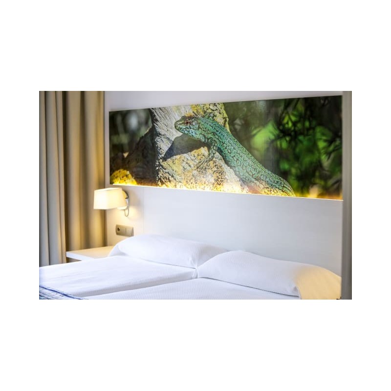 Hotel Rosales