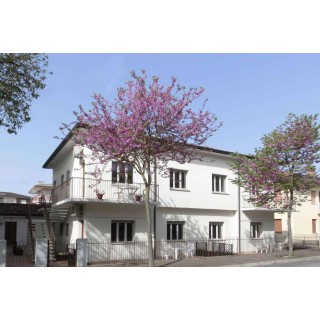 Ferienwohnung in Udine Provinz ab 58€ pro Nacht