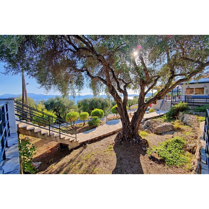 Ferienwohnung in Korfu ab 57€ pro Nacht