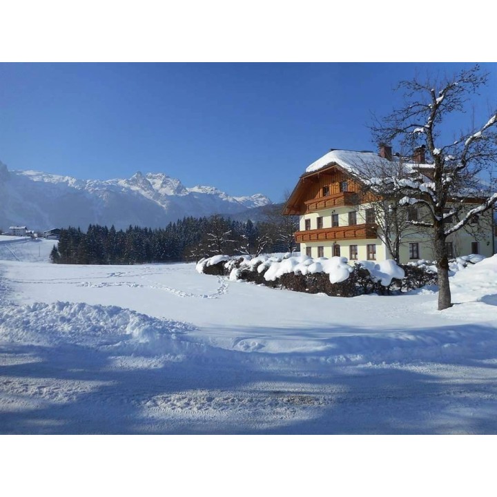 Ferienhaus in Abtenau ab 46€ pro Nacht