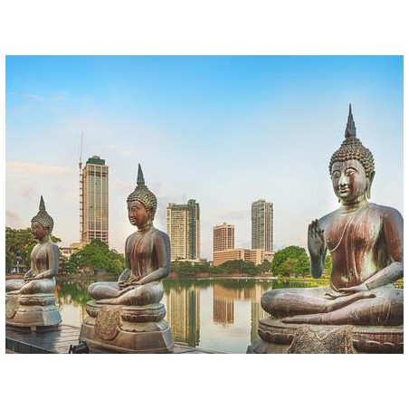 Rundreisen Sri Lanka: Im Land der Elefanten und Heiligtümer