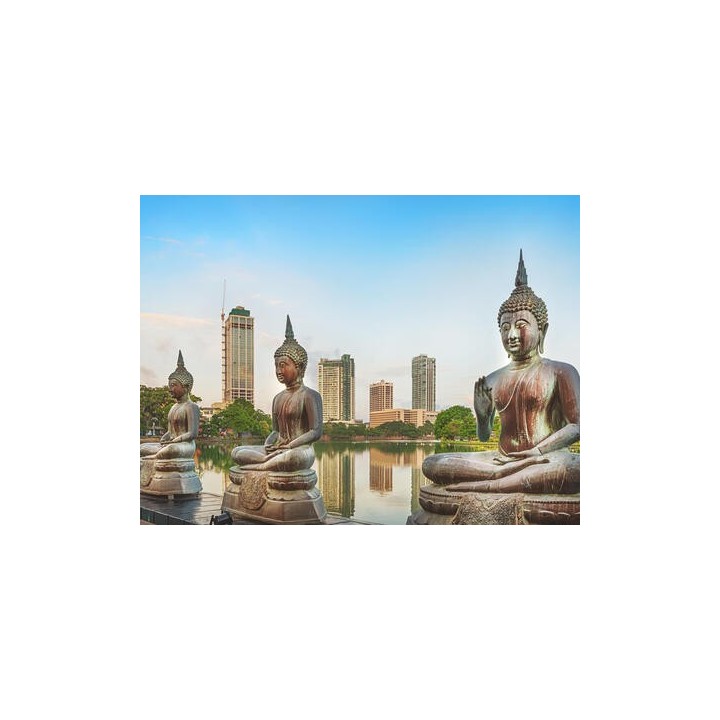 Rundreisen Sri Lanka: Im Land der Elefanten und Heiligtümer