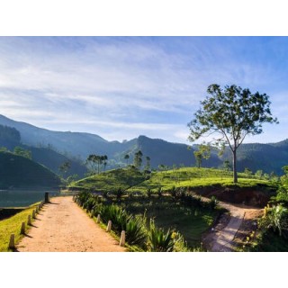 Rundreisen Sri Lanka: Zwischen Tempeln und Teeplantagen