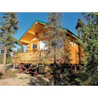 Denali Grizzly Bear Resort