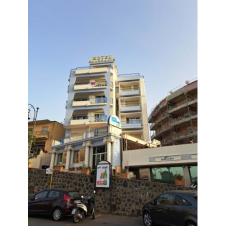 Hotel Panoramic