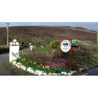 Kilcommon Lodge Holiday Hostel