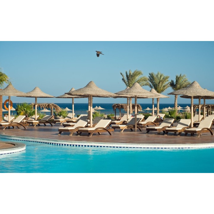 Düsseldorf - Abū Ghuşūn - Shams Alam Beach Resort