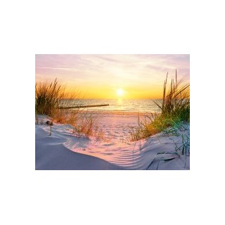 Urlaub auf Deutschlands sonnigster Insel
