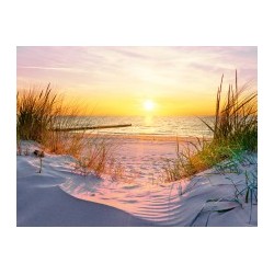 Urlaub auf Deutschlands sonnigster Insel