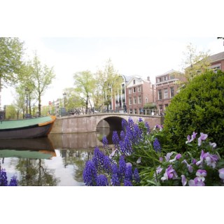 Amsterdam Canal