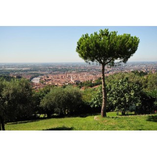 Agriturismo San Mattia