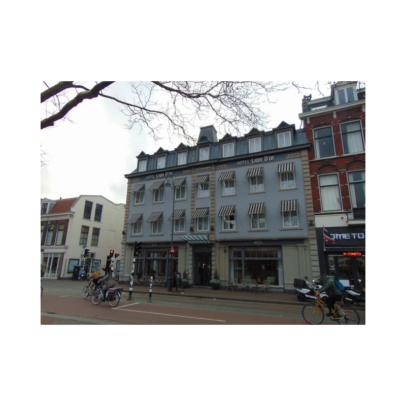 Hotel Lion d'Or