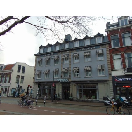 Hotel Lion d'Or