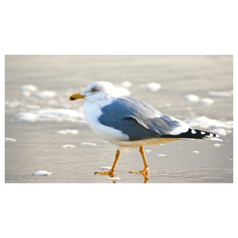 Eigene Anreise Nordsee - Norderney: Erholungsurlaub im 4-Sterne-Hotel Jann von Norderney