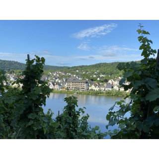 Rendezvous an der Mosel