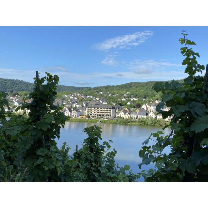 Rendezvous an der Mosel