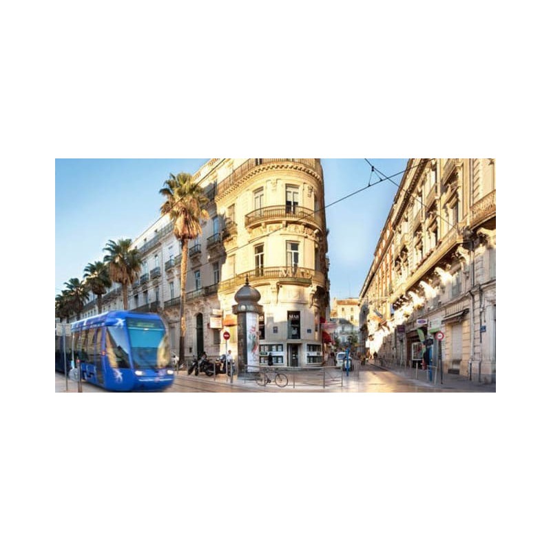 Hotel Oceania Montpellier