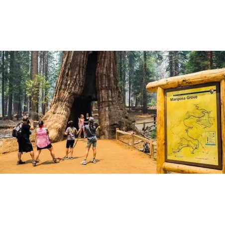 Yosemite Inn