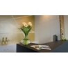 City Hotel Neumarkt