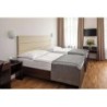 Hotel Trevi