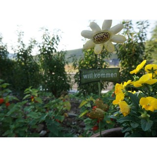 Ferienwohnung in Mosel ab 50€ pro Nacht