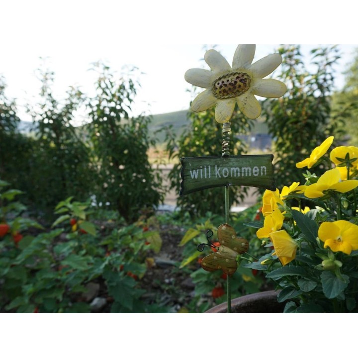 Ferienwohnung in Mosel ab 50€ pro Nacht