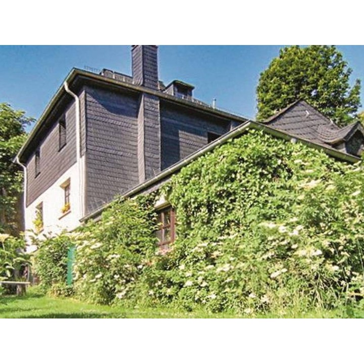 Ferienwohnung in Daun ab 50€ pro Nacht