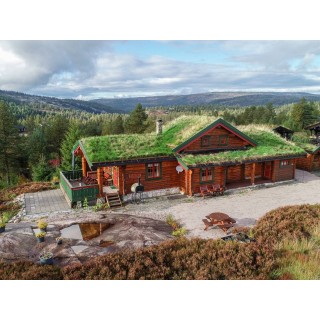 Ferienhaus in Telemark ab 46€ pro Nacht