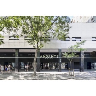 Hotel Andante