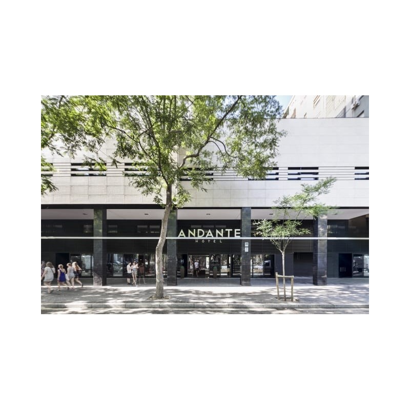 Hotel Andante
