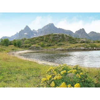 Ferienwohnung in Vågan ab 56€ pro Nacht