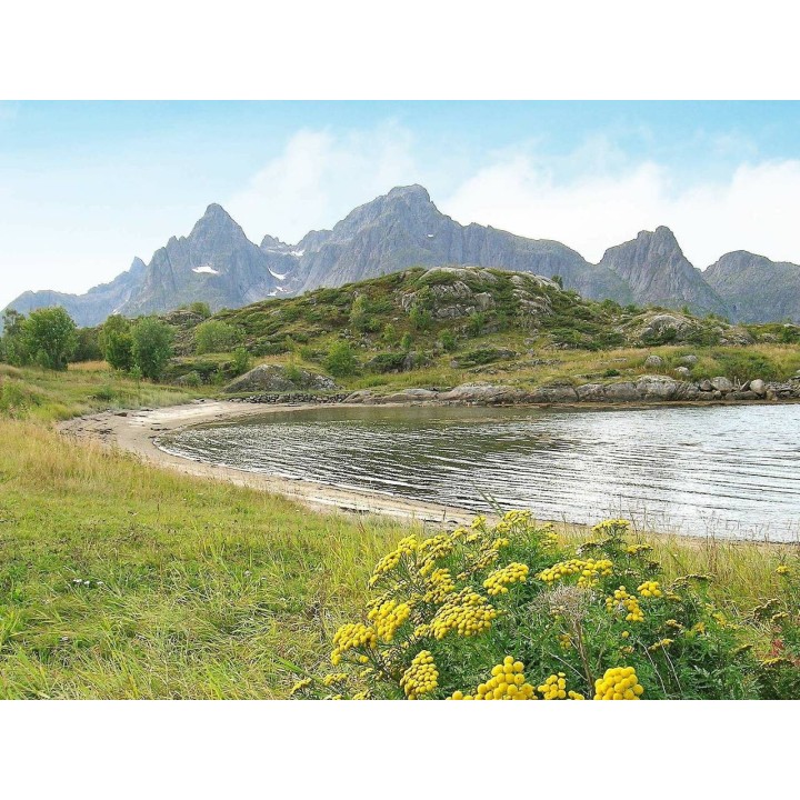 Ferienwohnung in Vågan ab 56€ pro Nacht