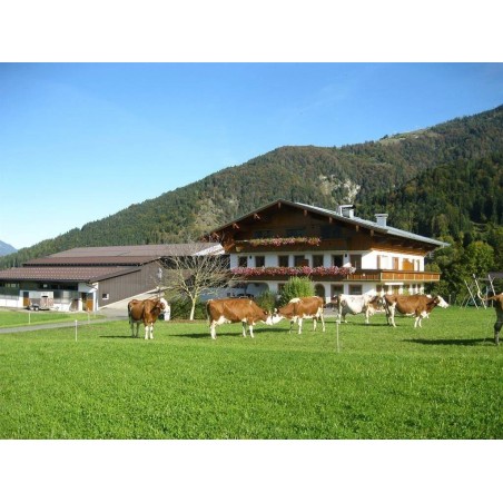Ferienwohnung in Schwendt ab 53€ pro Nacht