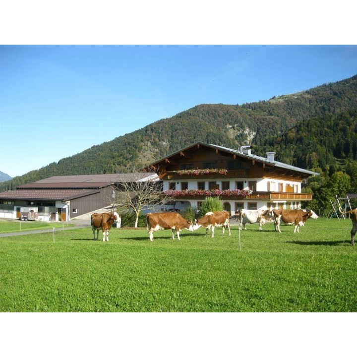 Ferienwohnung in Schwendt ab 53€ pro Nacht