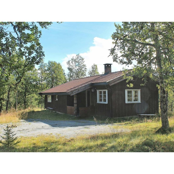 Ferienhaus in Nesbyen ab 58€ pro Nacht