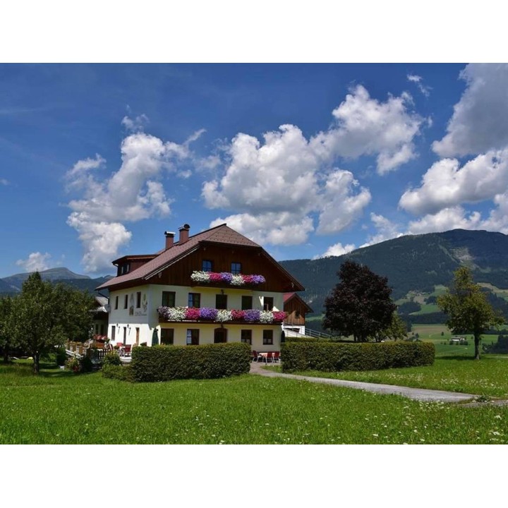 Ferienhaus in Abtenau ab 52€ pro Nacht
