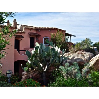 Ferienhaus in Gallura ab 52€ pro Nacht