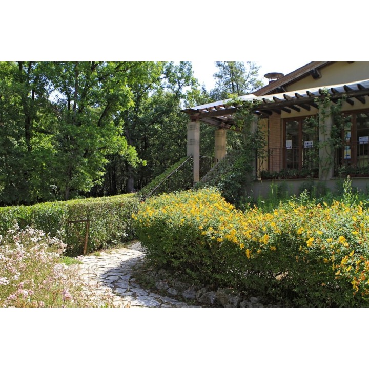 Berlin - San Gimignano - Camping Il Boschetto Di Piemma