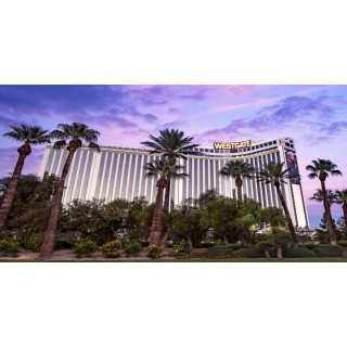 Hamburg - Las Vegas (NV) - Sports Book at Westgate Las Vegas & Casino-Studio