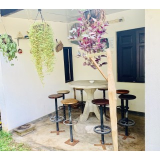 Frankfurt - Kalutara - MICHS Beach Villa - Maggona