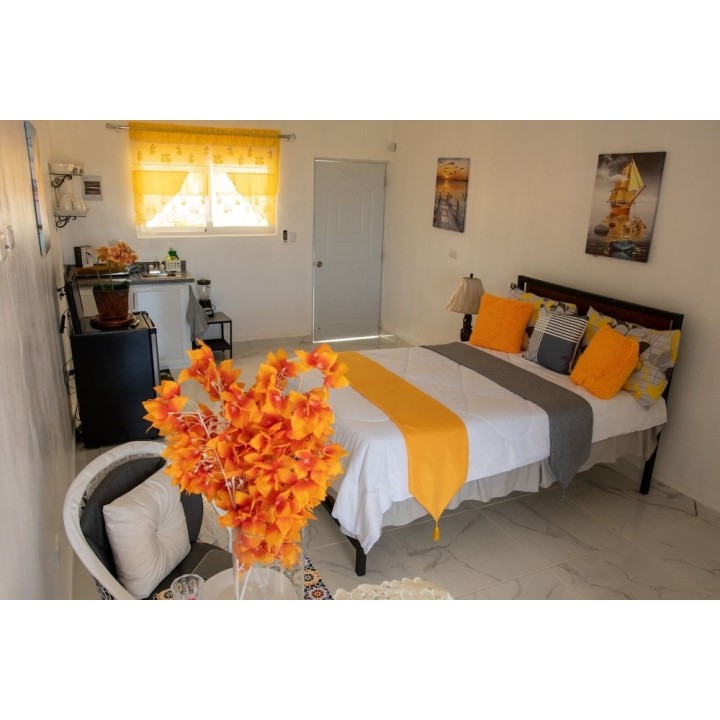 München - Puerto Plata - Royal Terrace Princess II