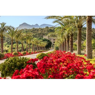 Köln Bonn - Palmanova - Castell Son Claret - The Leading Hotels of the World