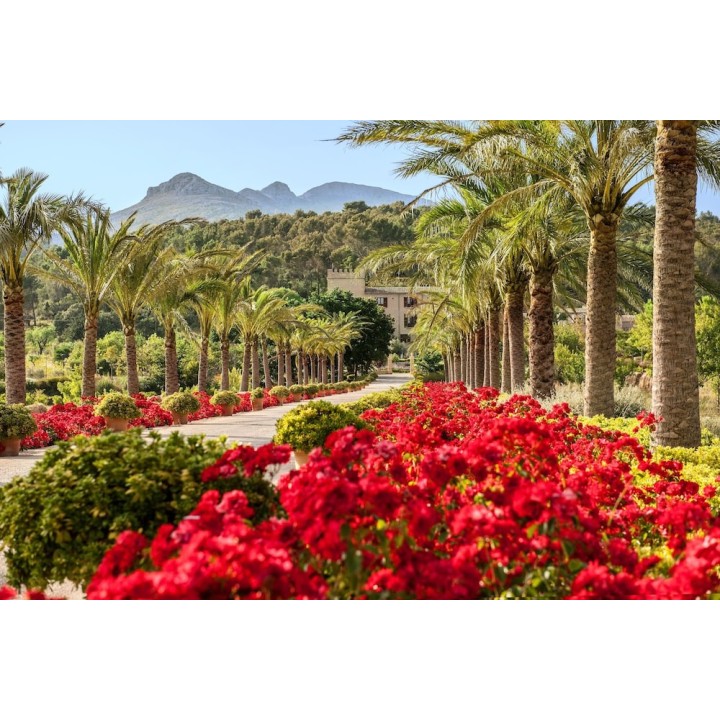 Köln Bonn - Palmanova - Castell Son Claret - The Leading Hotels of the World