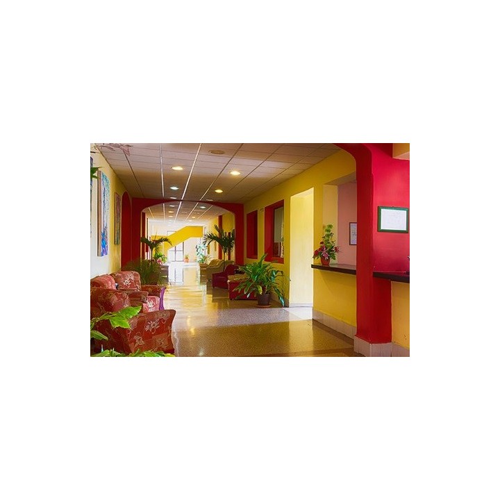 Frankfurt - Havana - San Alejandro