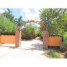 Frankfurt - Negril - Sunrise Club Hotel